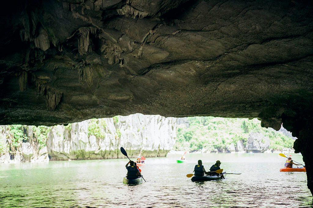 Experience Halong Bay’s culture with guided cruises